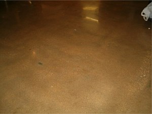 Polished Concrete